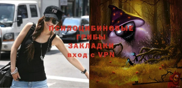 мдма Каменка
