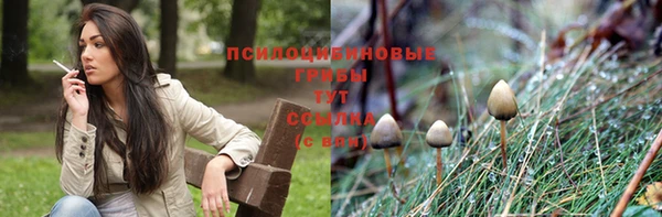 прущая мука Алзамай